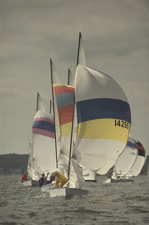 Yachts with colourful spinnakers