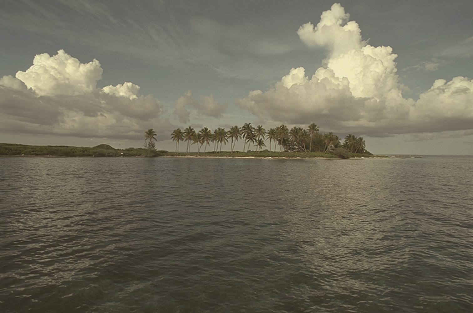 Calm sea with a palm-lined island