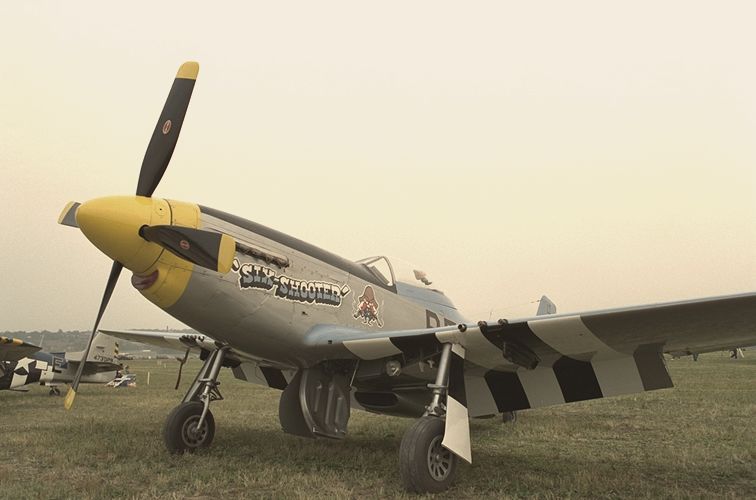Vintage aircraft on grass
